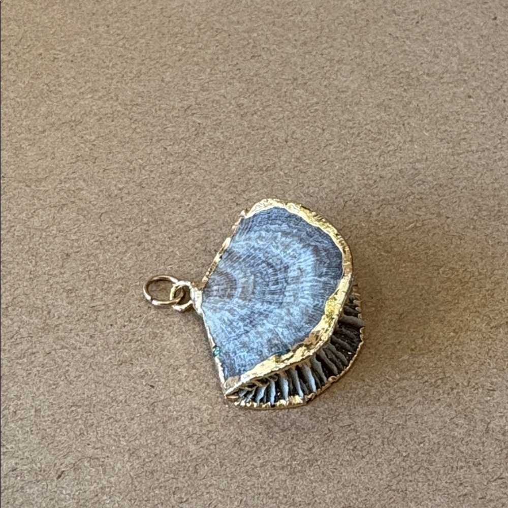 Beautiful Mushroom Coral Shell Pendant Necklace with 14 kt Gold trim, Handmade - Picture 4 of 7